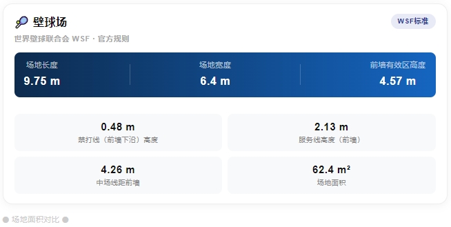 xcsport体育官方网站图片